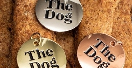 For the Love of Dogs